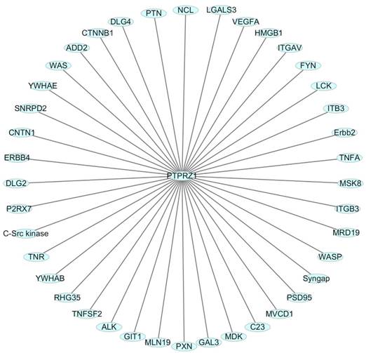 J Cancer Image