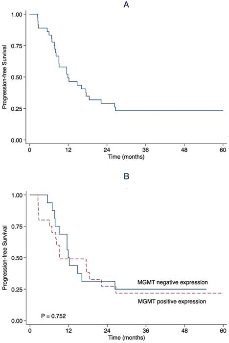 Efficacy And Safety Of Nimotuzumab In Addition To Radiotherapy And Temozolomide For Cerebral