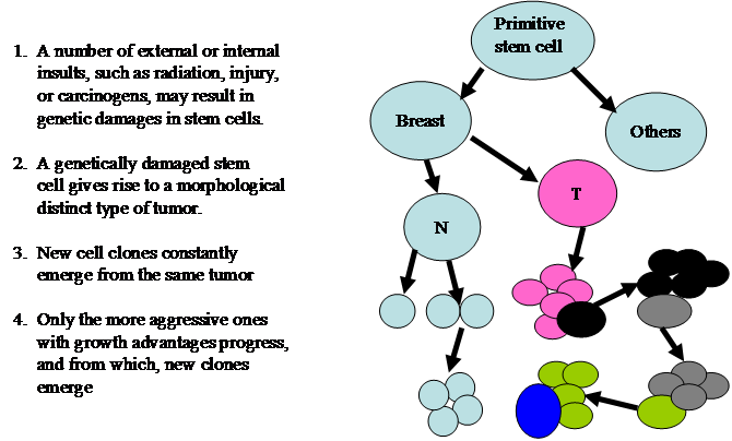 J Cancer Image