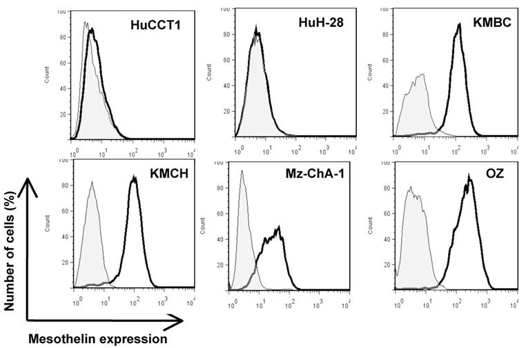 J Cancer Image