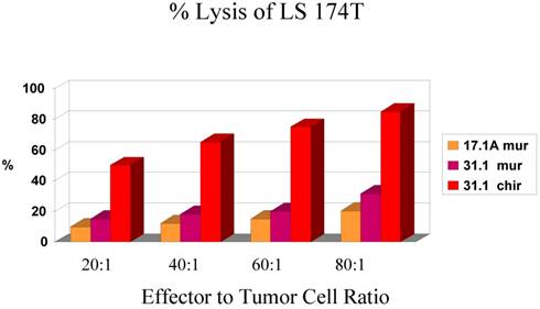 J Cancer Image