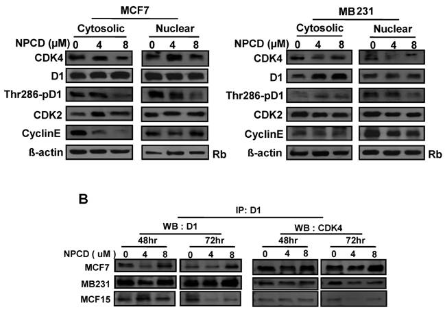 J Cancer Image