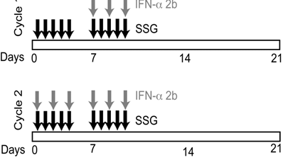 J Cancer Image