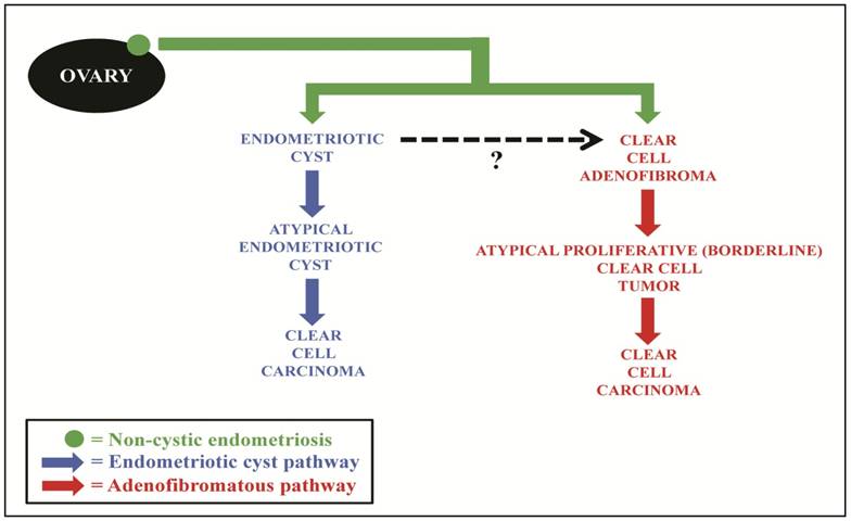 J Cancer Image