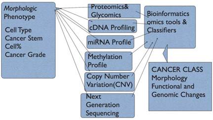 J Cancer Image