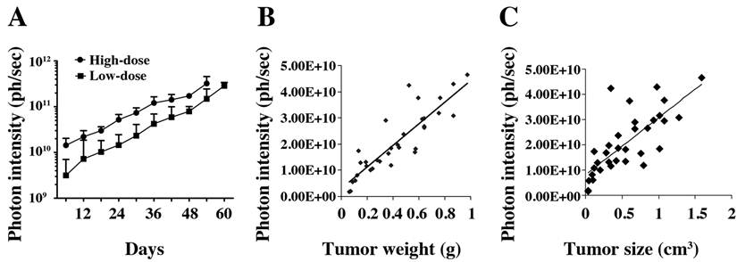 J Cancer Image