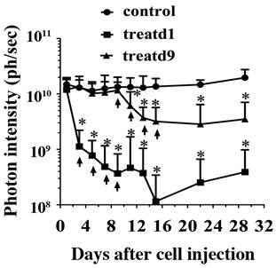 J Cancer Image