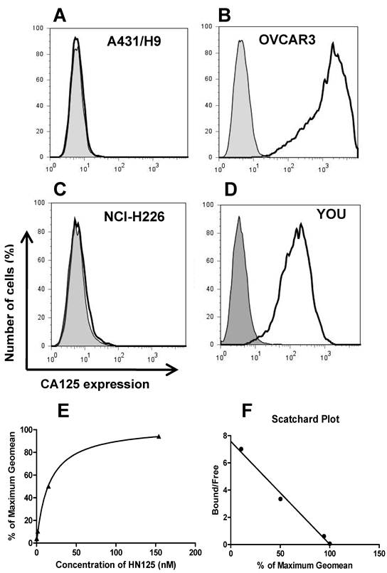 J Cancer Image