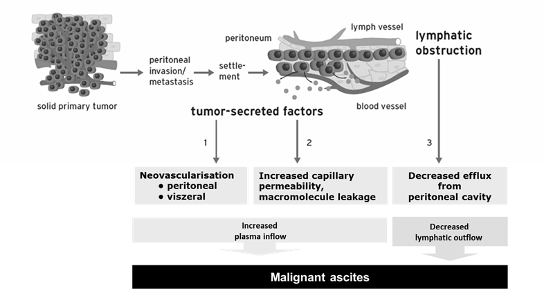 J Cancer Image