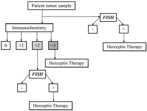 J Cancer Image