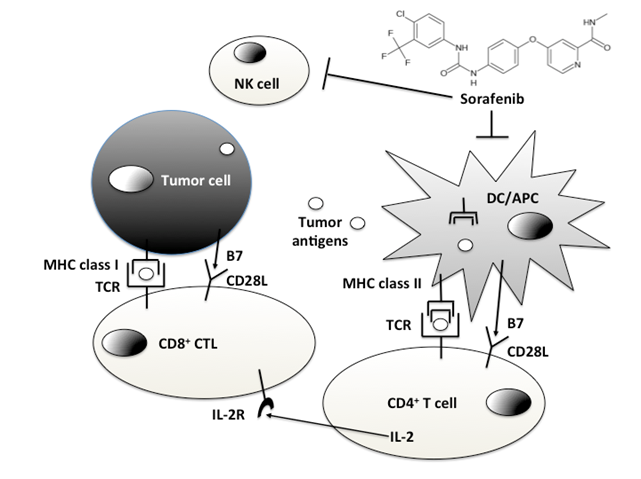 J Cancer Image