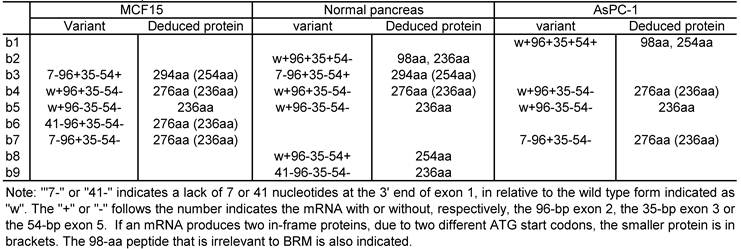 J Cancer Image