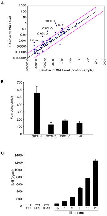 J Cancer Image