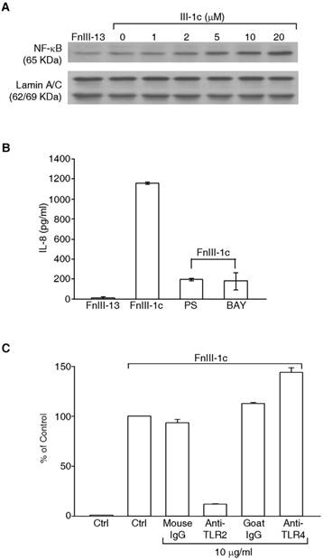 J Cancer Image