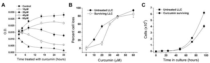 J Cancer Image