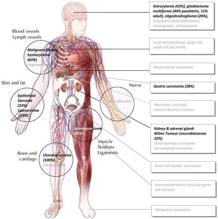 J Cancer Image