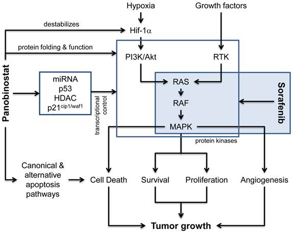 J Cancer Image