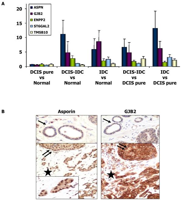 J Cancer Image