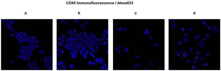 J Cancer Image