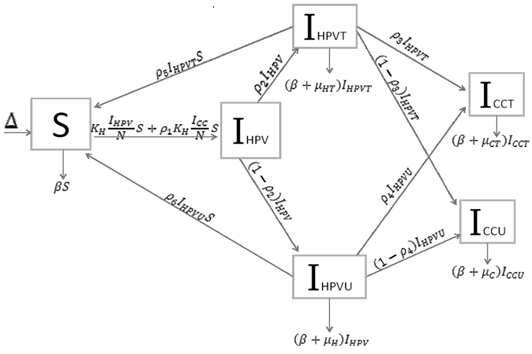 J Cancer Image