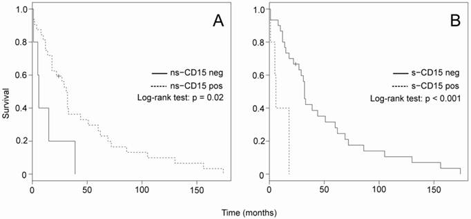 J Cancer Image