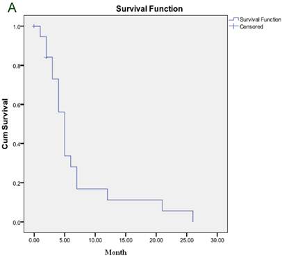 J Cancer Image