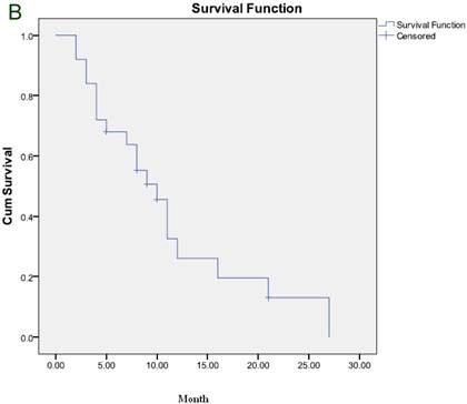 J Cancer Image