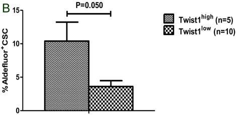 J Cancer Image