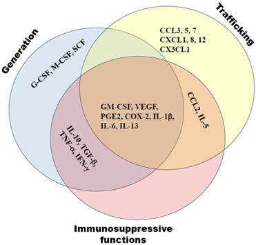 J Cancer Image