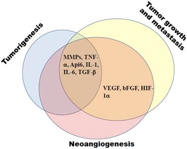 J Cancer Image