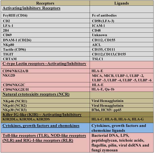 J Cancer Image