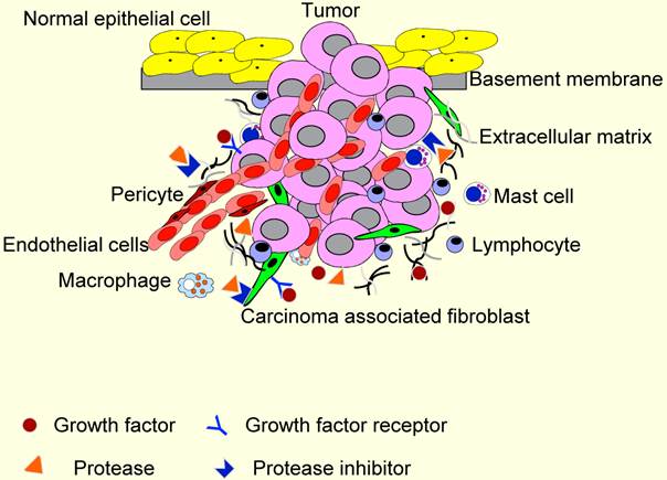 J Cancer Image