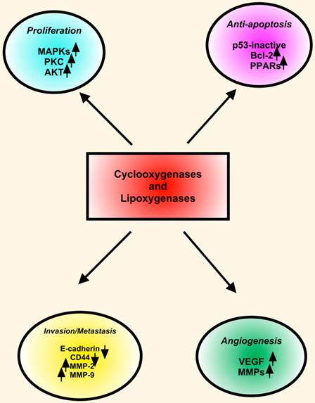 J Cancer Image