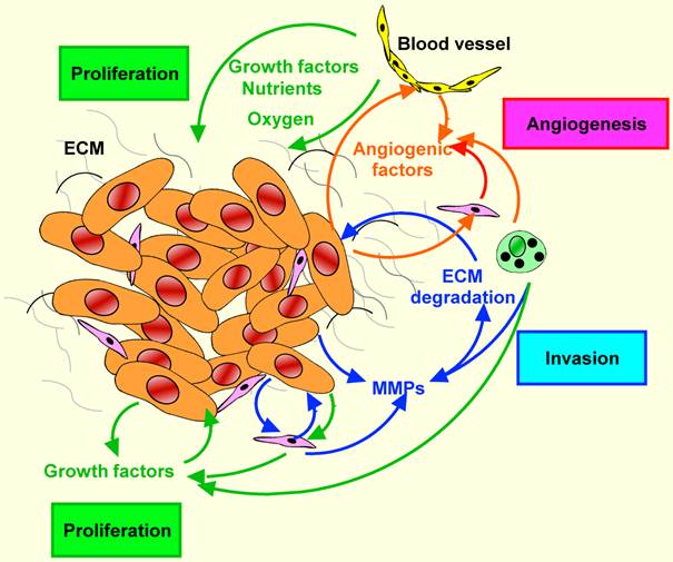 J Cancer Image