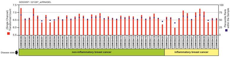 J Cancer Image