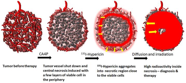 J Cancer Image