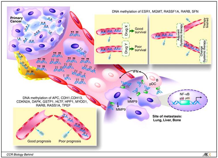 J Cancer Image