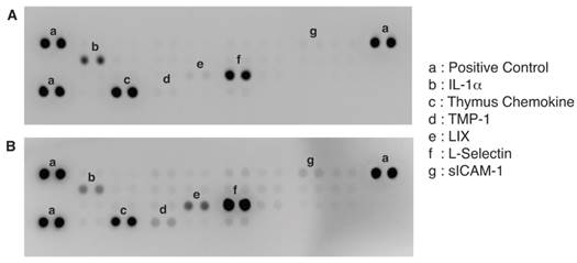 J Cancer Image