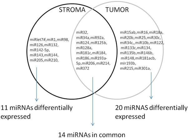 J Cancer Image