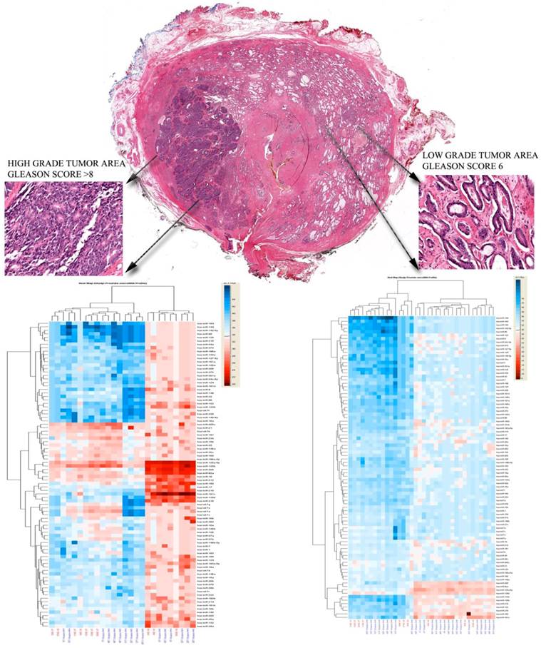 J Cancer Image