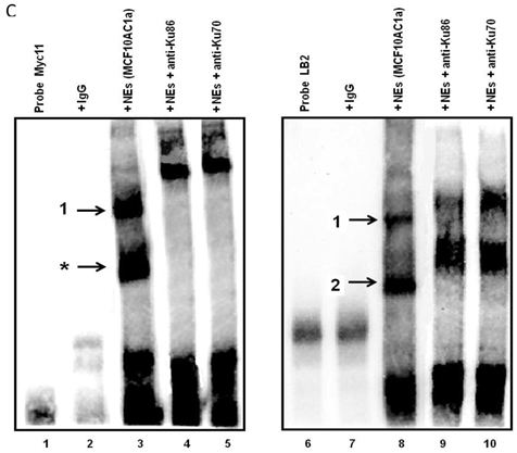 J Cancer Image