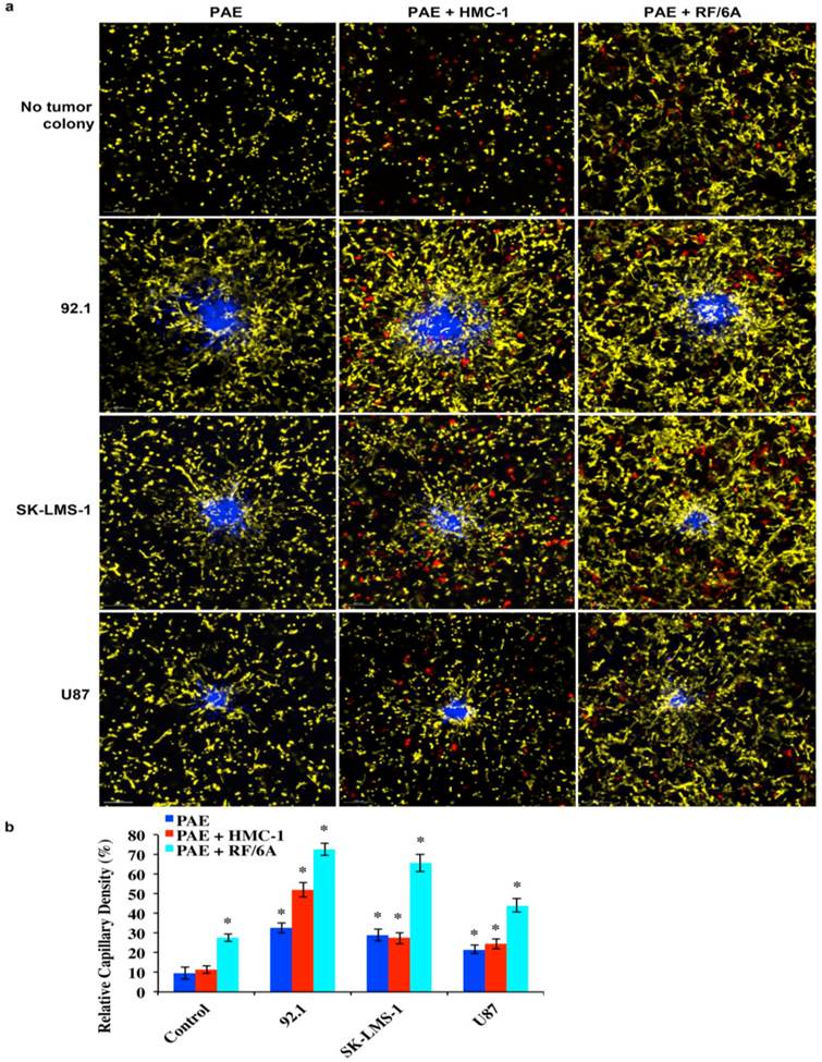 J Cancer Image