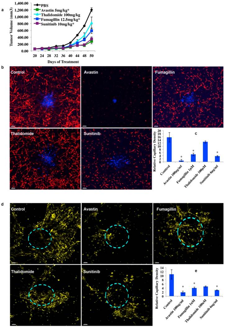 J Cancer Image