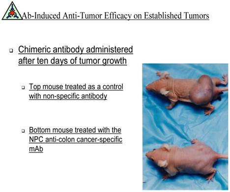 J Cancer Image