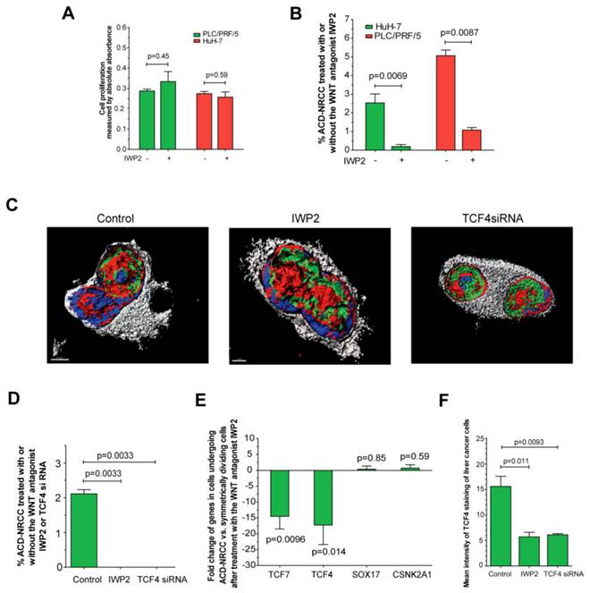 J Cancer Image