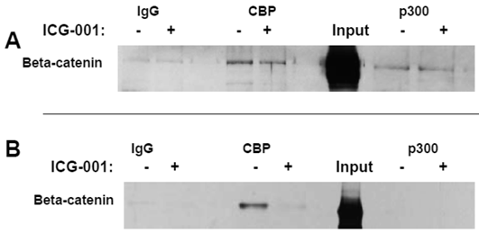 J Cancer Image