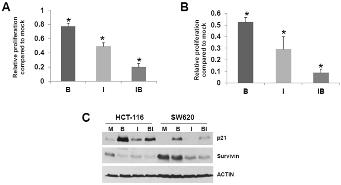 J Cancer Image