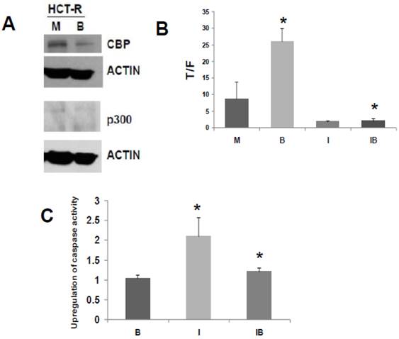 J Cancer Image