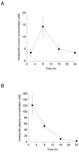 J Cancer Image