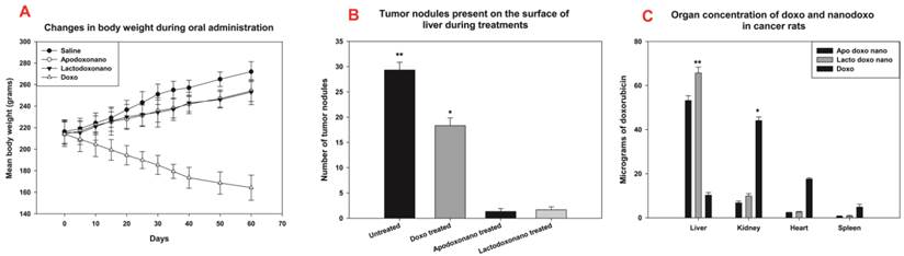 J Cancer Image